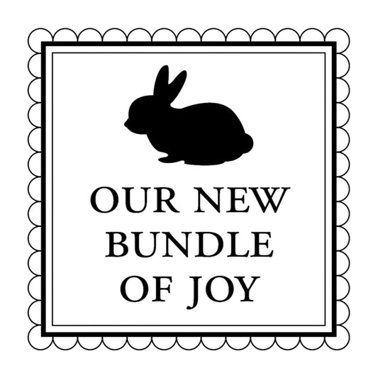 Baby Bundle Mix & Match Stamp Clip Pack Three Designing Women