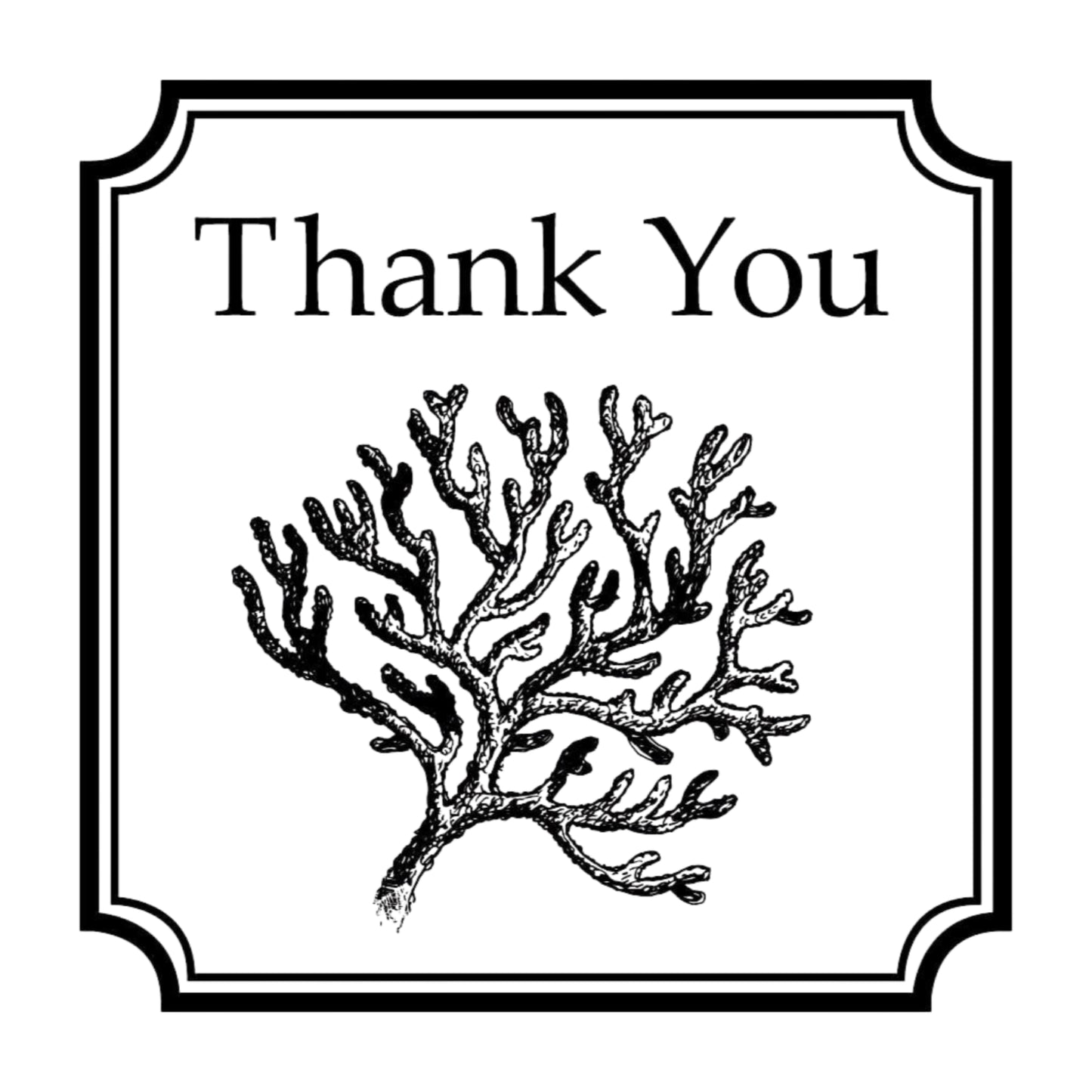 Salutations Coral Thank You Mix & Match Stamp Clip Pack Three Designing Women