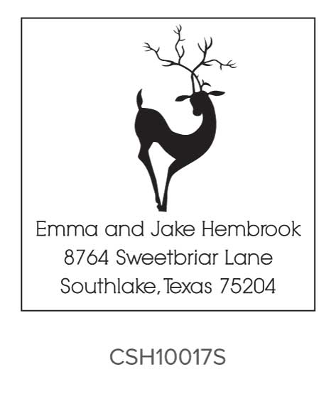 Custom Holiday Stamp CSH10017S Three Designing Women